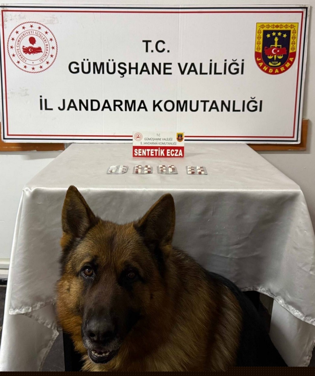 Gümüşhane’de uyuşturucu operasyonlarında iki şüpheli yakalandı
