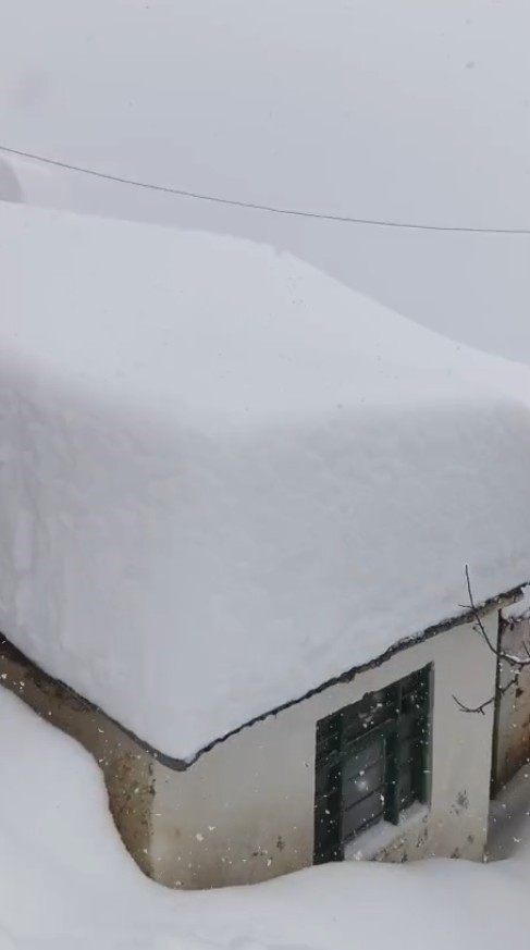 Gümüşhane’de yoğun kar yağışı sonrası yayınladığı videoyla yardım istedi
