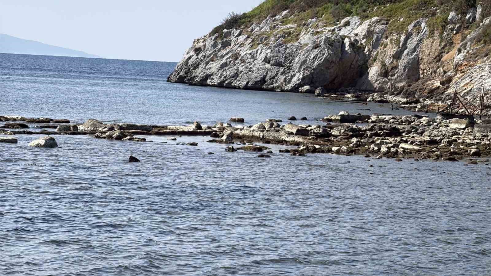 Gümüşlük koyunda sular çekildi, 3 bin 500 yıllık kral yolu ortaya çıktı
