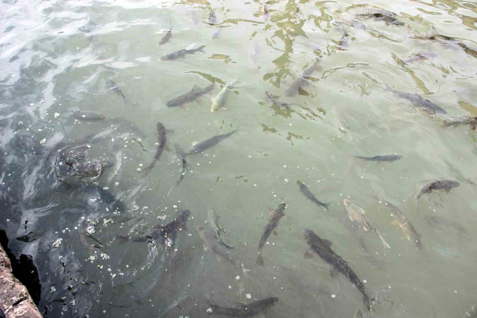 Güneş yüzünü gösterdi: Balıklıgöl’e ziyaretçi akını
