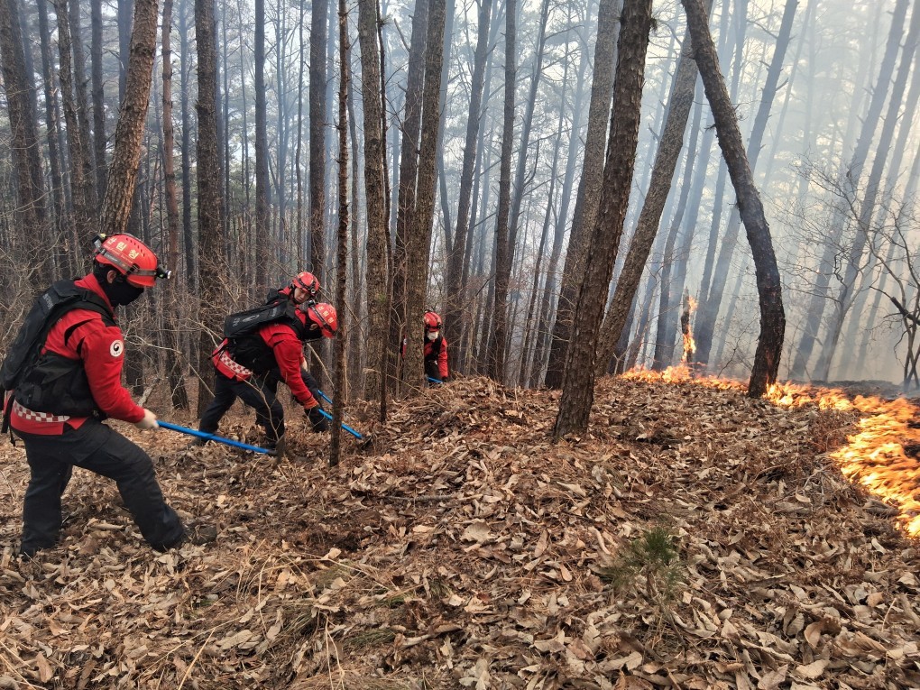Güney Kore’de 3 gündür devam eden orman yangınında 190 hektarlık alan küle döndü
