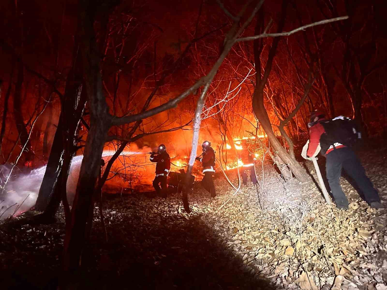 Güney Kore’de orman yangını: 200 futbol sahası büyüklüğünde alan küle döndü
