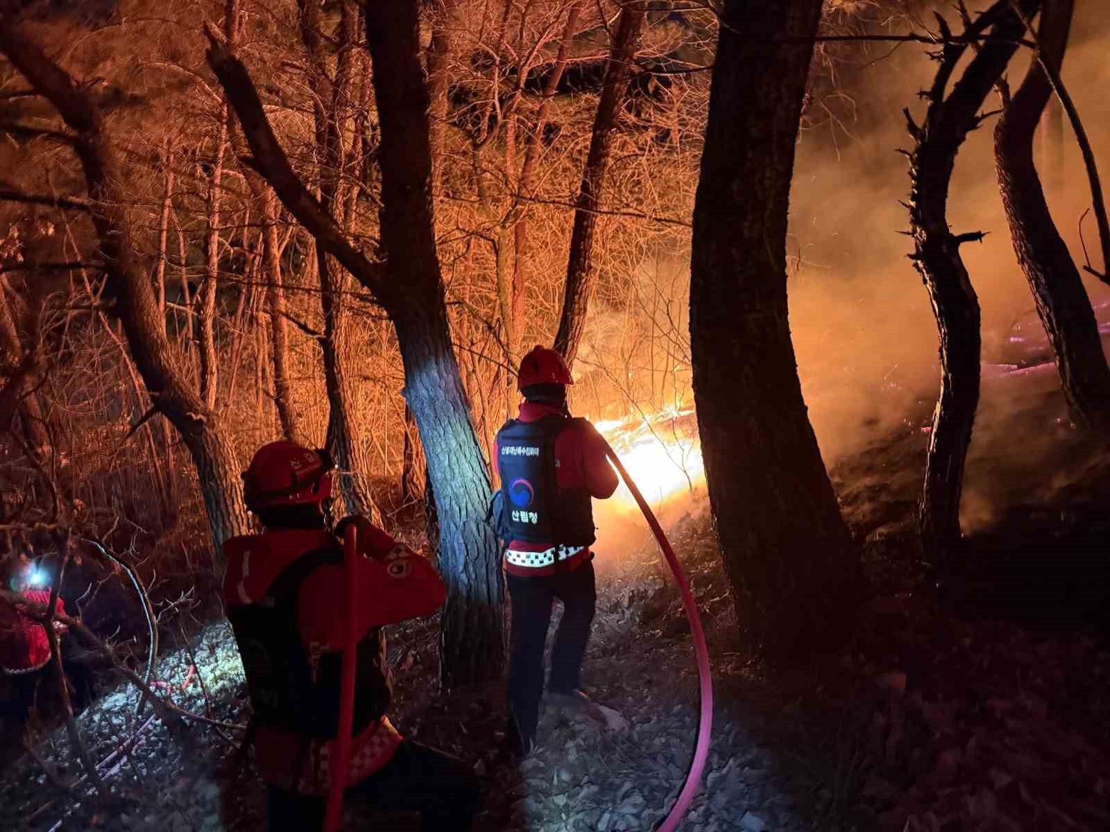 Güney Kore’de orman yangını: 200 futbol sahası büyüklüğünde alan küle döndü
