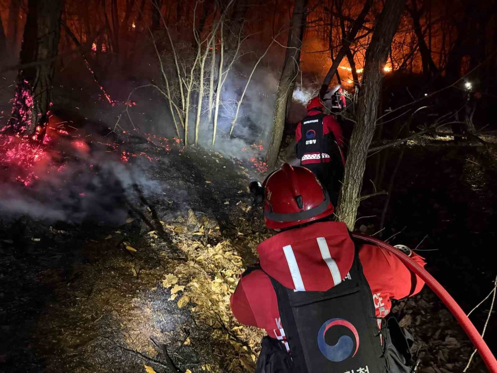 Güney Kore’de orman yangını: 200 futbol sahası büyüklüğünde alan küle döndü
