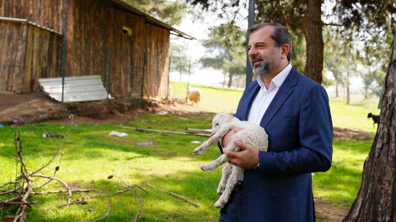 Gürsu Butik Hayvanat Bahçesi yeni sakinlerini ağırlıyor
