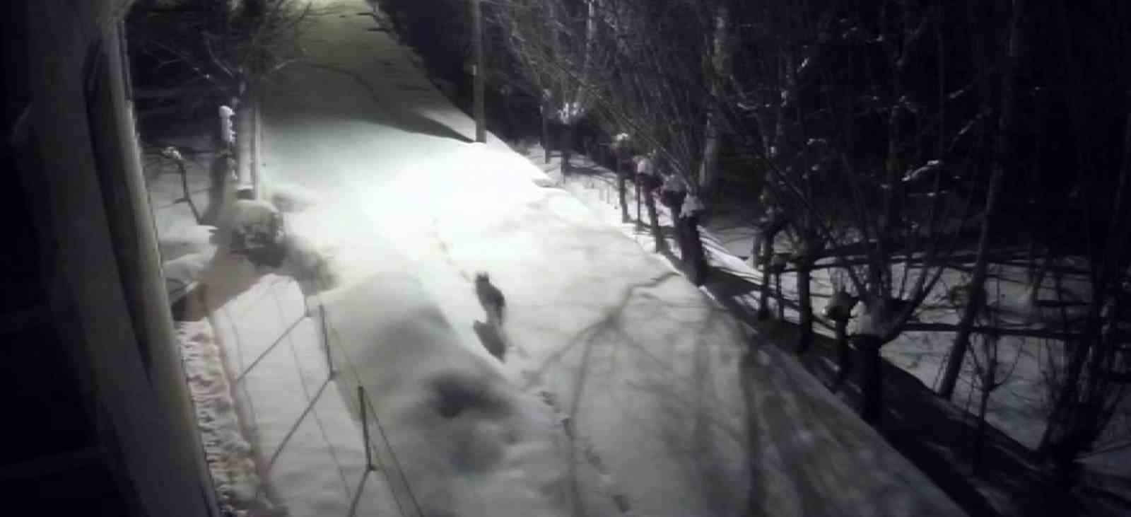 Gürün’de kurtlar mahalleye indi
