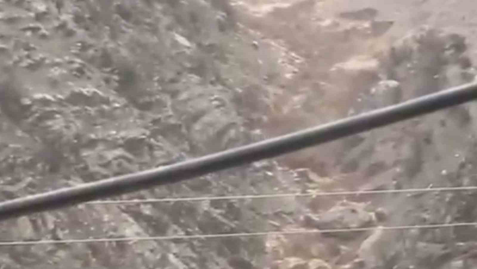 Güvenlik görevlisi son anda kaçtı, köpek sel sularıyla mücadele etti
