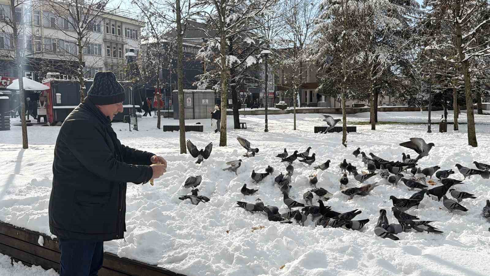 Güvercinleri yemleyen vatandaş yürekleri ısıttı
