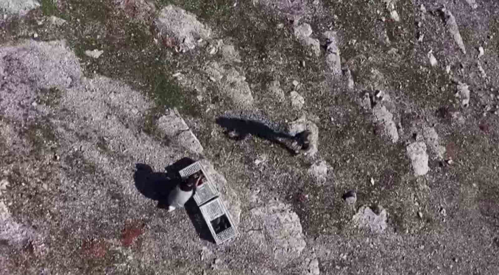 Habur’da ele geçirilen 38 kınalı keklik doğaya salındı
