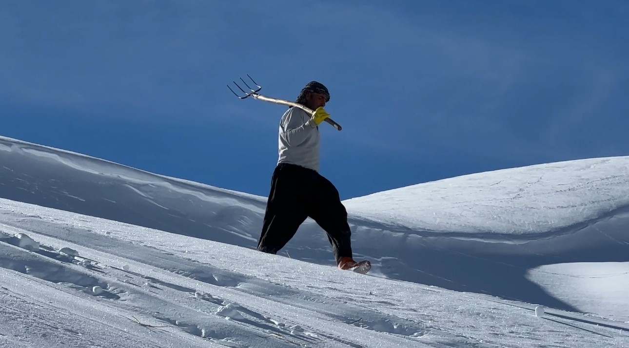 Hakkari’de 1 buçuk metreyi aşan karda çiftçilerin zorlu mesaisi sürüyor
Hakkari’de 1 buçuk metreyi aşan karda çiftçilerin zorlu mesaisi sürüyor