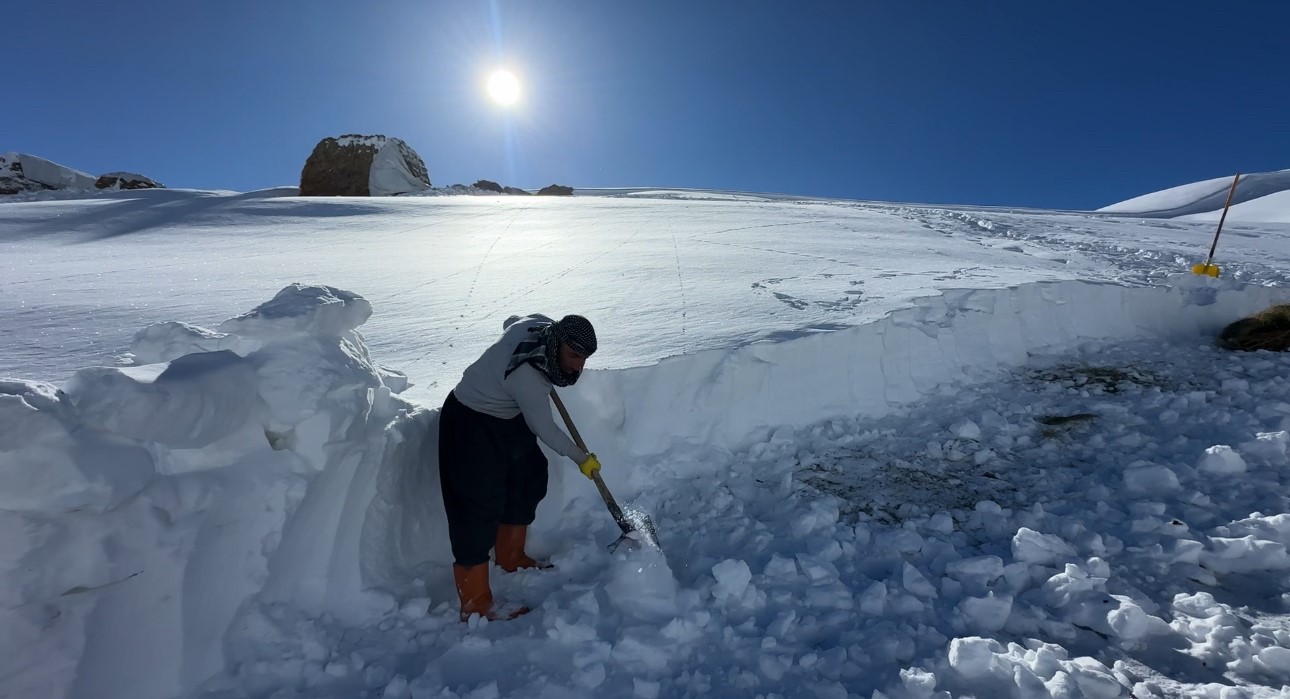 Hakkari’de 1 buçuk metreyi aşan karda çiftçilerin zorlu mesaisi sürüyor
Hakkari’de 1 buçuk metreyi aşan karda çiftçilerin zorlu mesaisi sürüyor