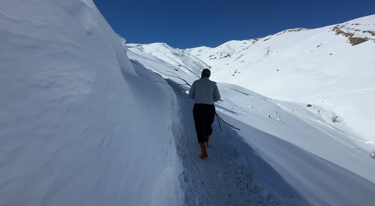 Hakkari’de 1 buçuk metreyi aşan karda çiftçilerin zorlu mesaisi sürüyor
Hakkari’de 1 buçuk metreyi aşan karda çiftçilerin zorlu mesaisi sürüyor