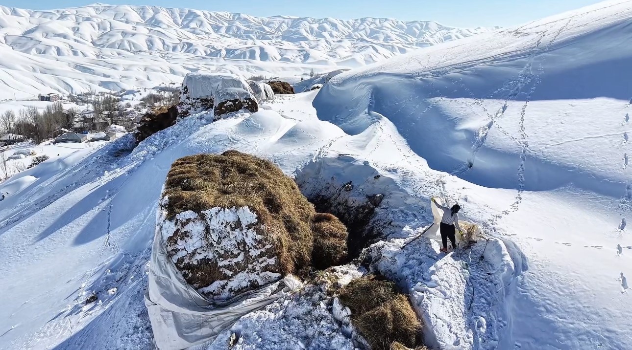 Hakkari’de 1 buçuk metreyi aşan karda çiftçilerin zorlu mesaisi sürüyor
Hakkari’de 1 buçuk metreyi aşan karda çiftçilerin zorlu mesaisi sürüyor