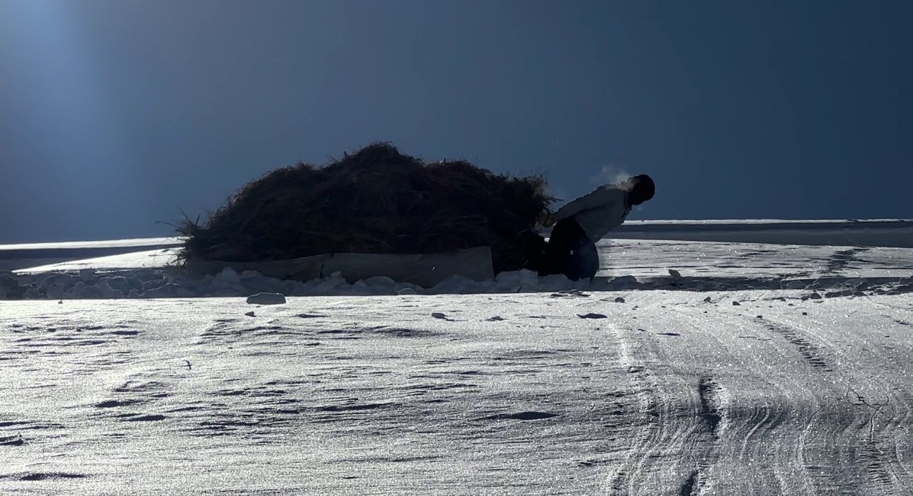 Hakkari’de 1 buçuk metreyi aşan karda çiftçilerin zorlu mesaisi sürüyor
Hakkari’de 1 buçuk metreyi aşan karda çiftçilerin zorlu mesaisi sürüyor
