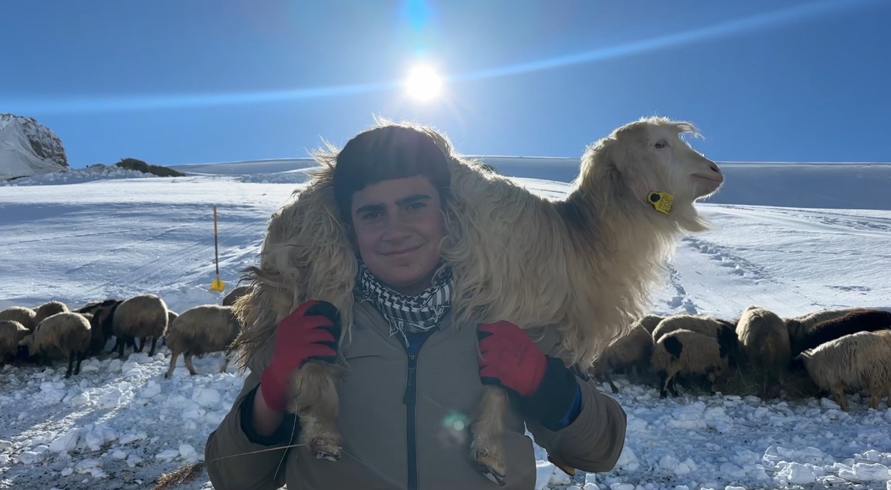 Hakkari’de 1 buçuk metreyi aşan karda çiftçilerin zorlu mesaisi sürüyor
Hakkari’de 1 buçuk metreyi aşan karda çiftçilerin zorlu mesaisi sürüyor