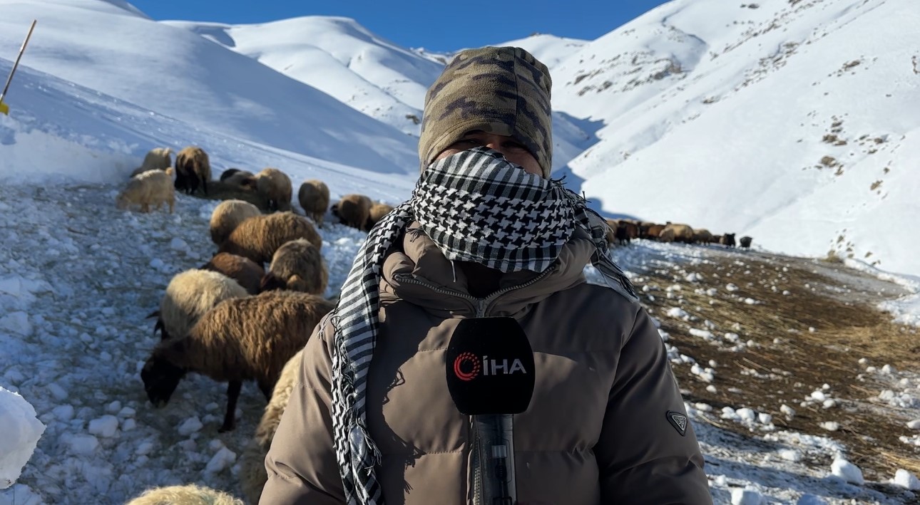 Hakkari’de 1 buçuk metreyi aşan karda çiftçilerin zorlu mesaisi sürüyor
Hakkari’de 1 buçuk metreyi aşan karda çiftçilerin zorlu mesaisi sürüyor