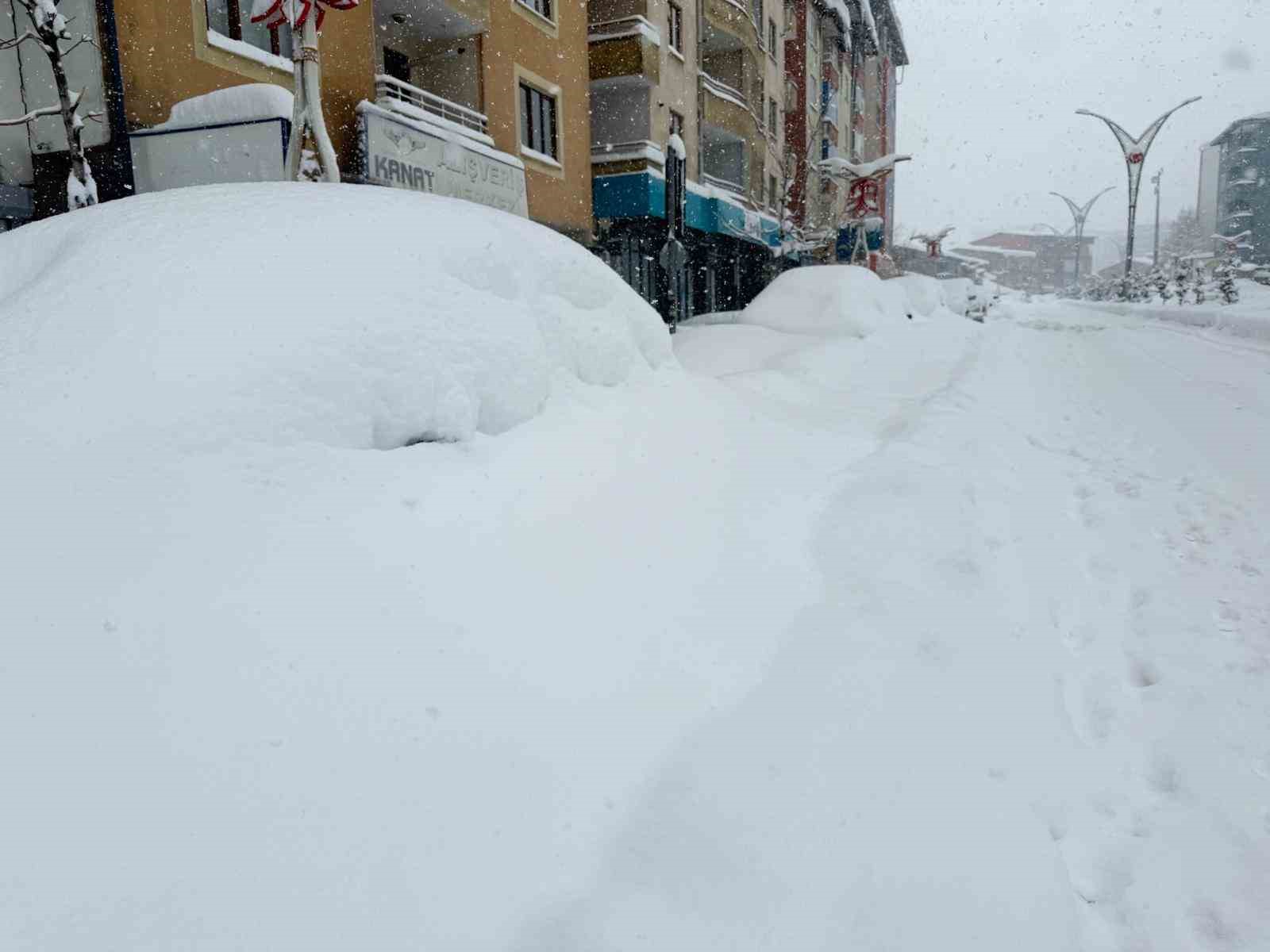 Hakkari’de 357 yerleşim yerinin yolu kapandı
