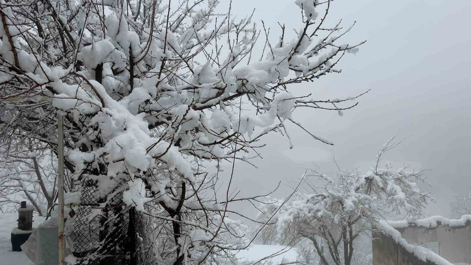 Hakkari’de 82 yerleşim yerinin yolu kapandı
