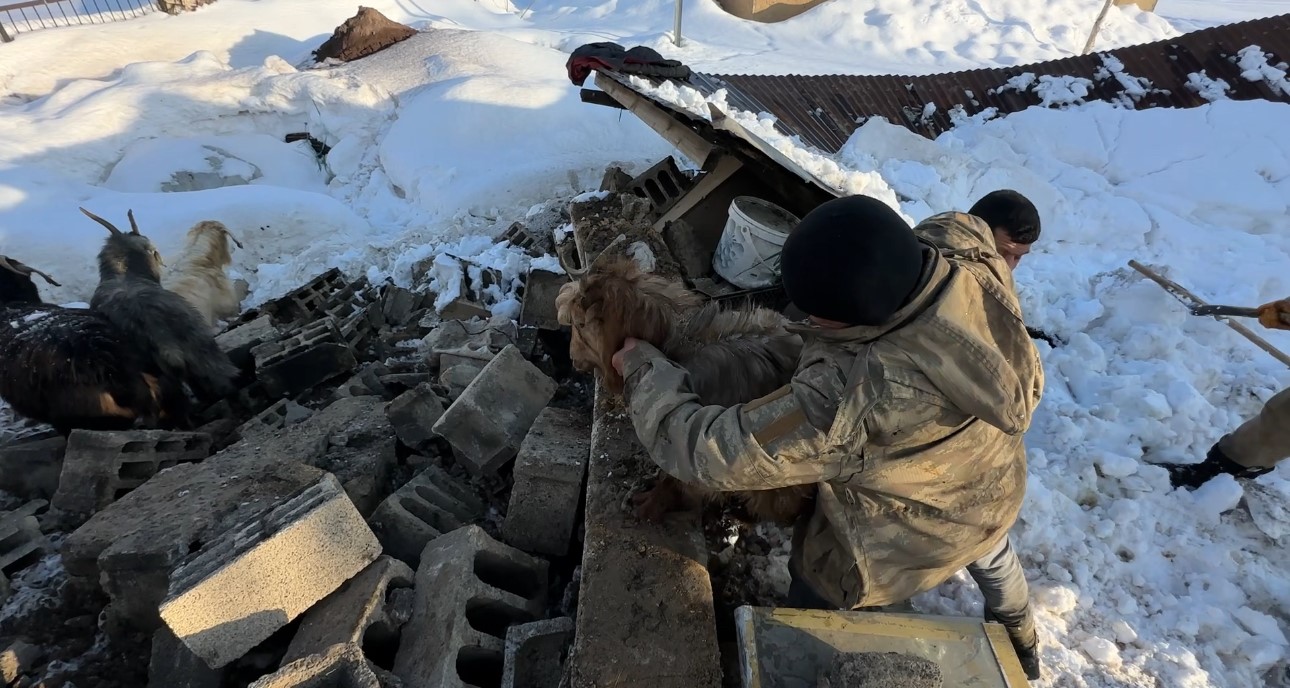 Hakkari’de ahırın çatısı çöktü: 2 hayvan telef oldu
