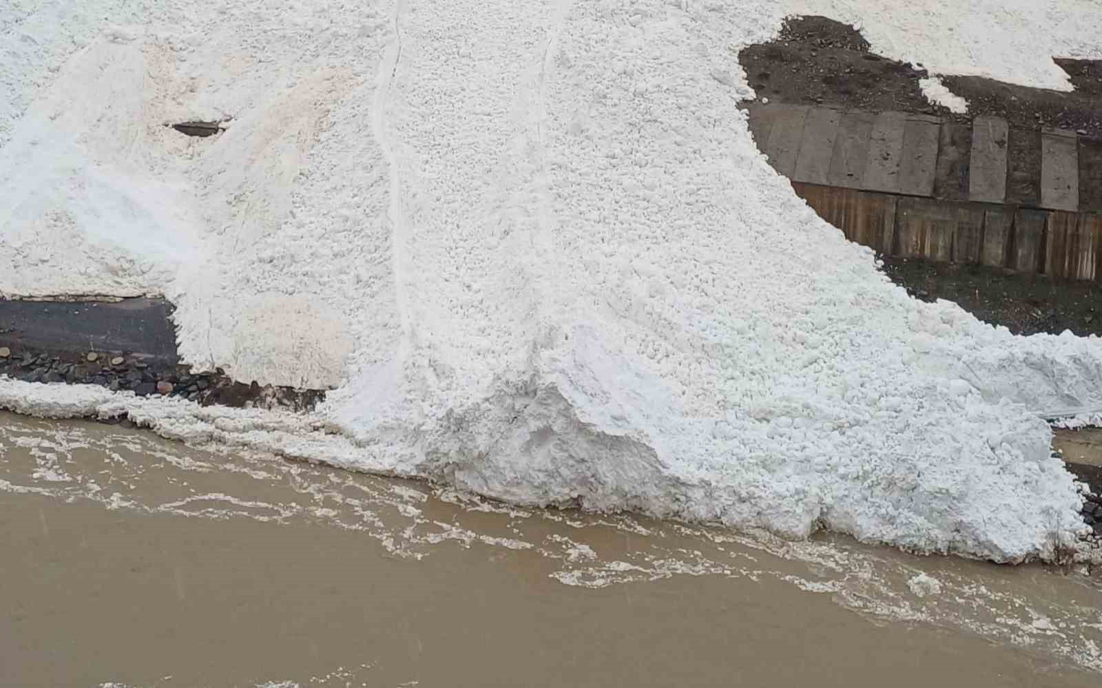 Hakkâri’de çığ: Zap Suyu’nun önünü kesti
