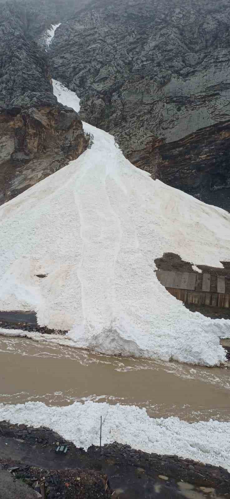 Hakkâri’de çığ: Zap Suyu’nun önünü kesti
