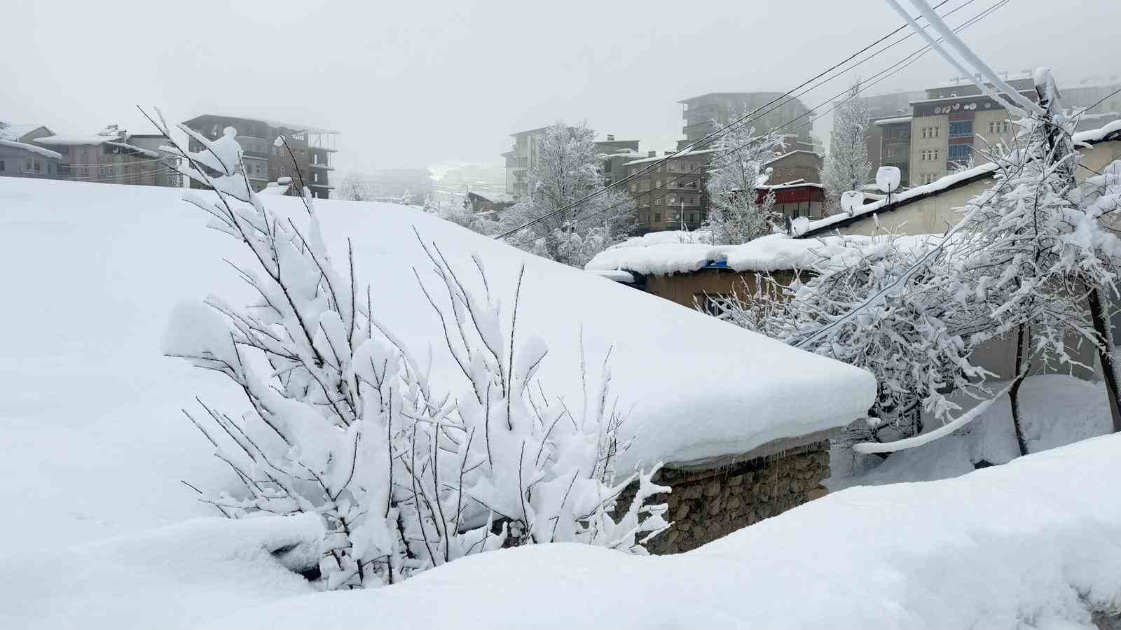 Hakkari’de kar afeti: Ekipler aralıksız çalışıyor
