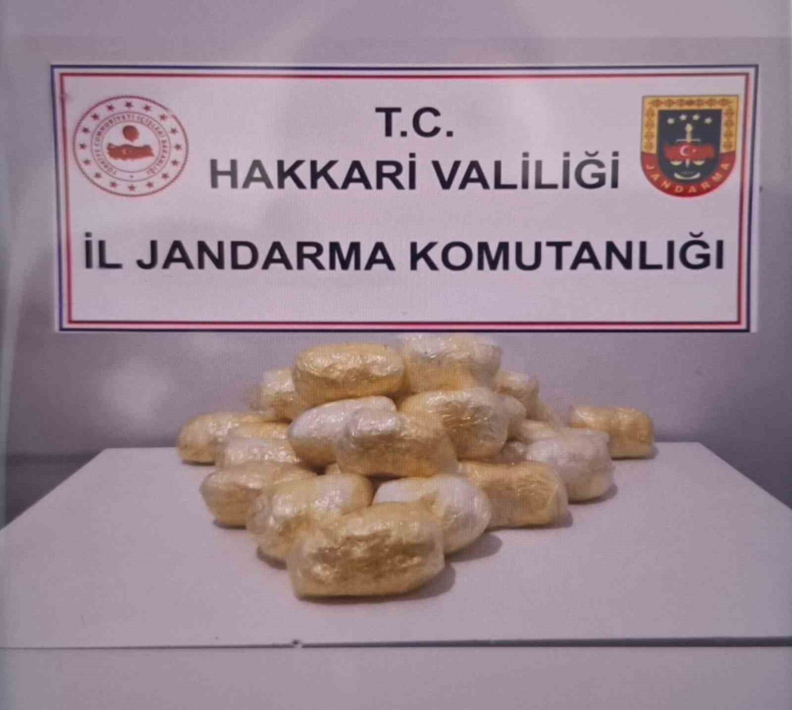 Hakkari’de tırda 15 kilo 263 gram metamfetamin ele geçirildi
