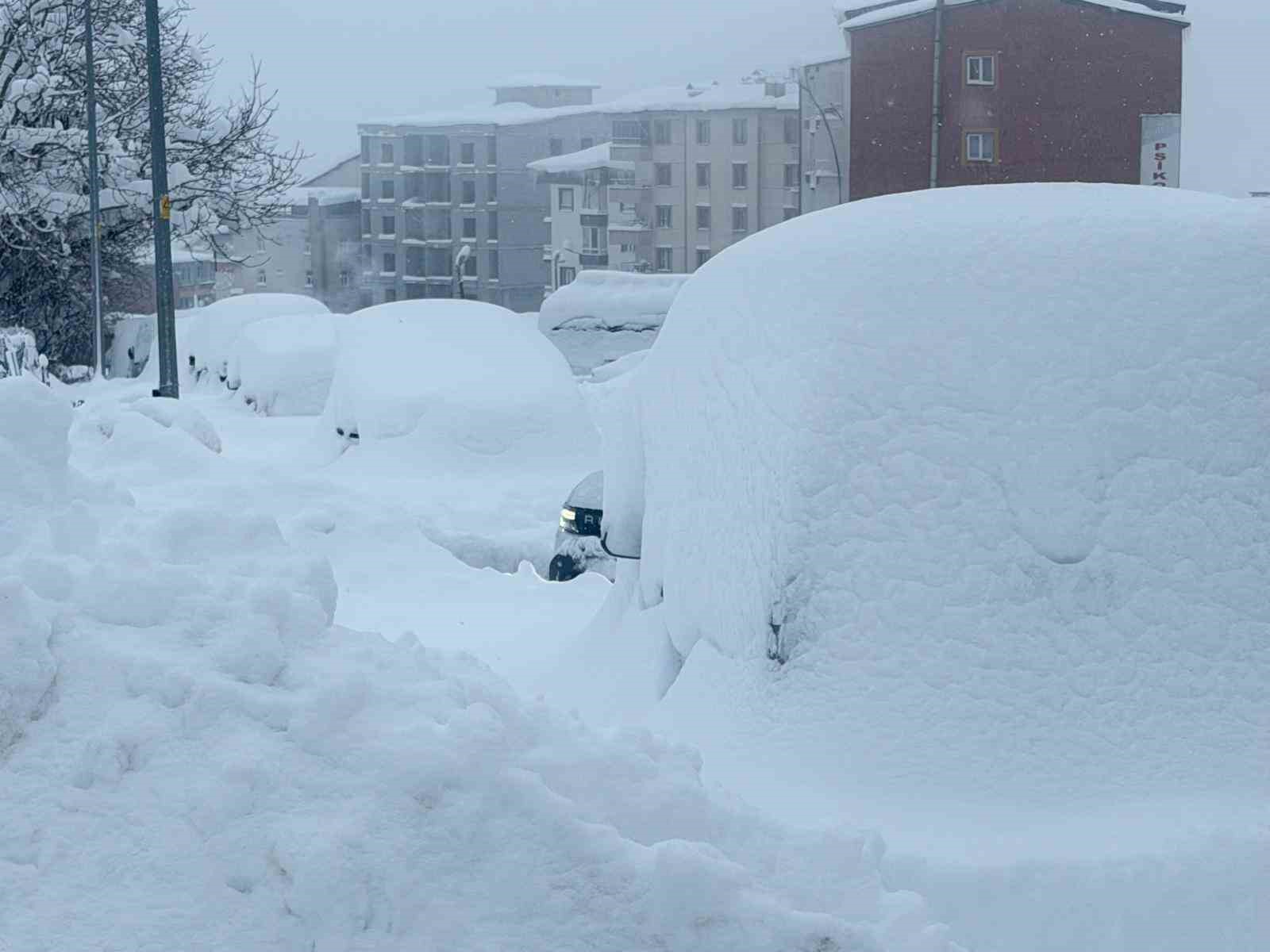 Hakkari’de tonlarca kar şehir dışına taşınıyor
