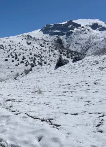 Halkapınar’da nisan ayında kar sürprizi
