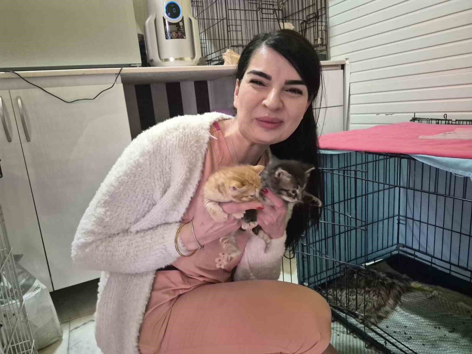 Hamile kedi sığındığı veteriner kliniğinde doğum yaptı
Hamile kedi sığındığı veteriner kliniğinde doğum yaptı