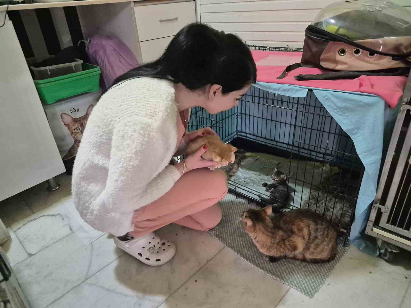 Hamile kedi sığındığı veteriner kliniğinde doğum yaptı
Hamile kedi sığındığı veteriner kliniğinde doğum yaptı