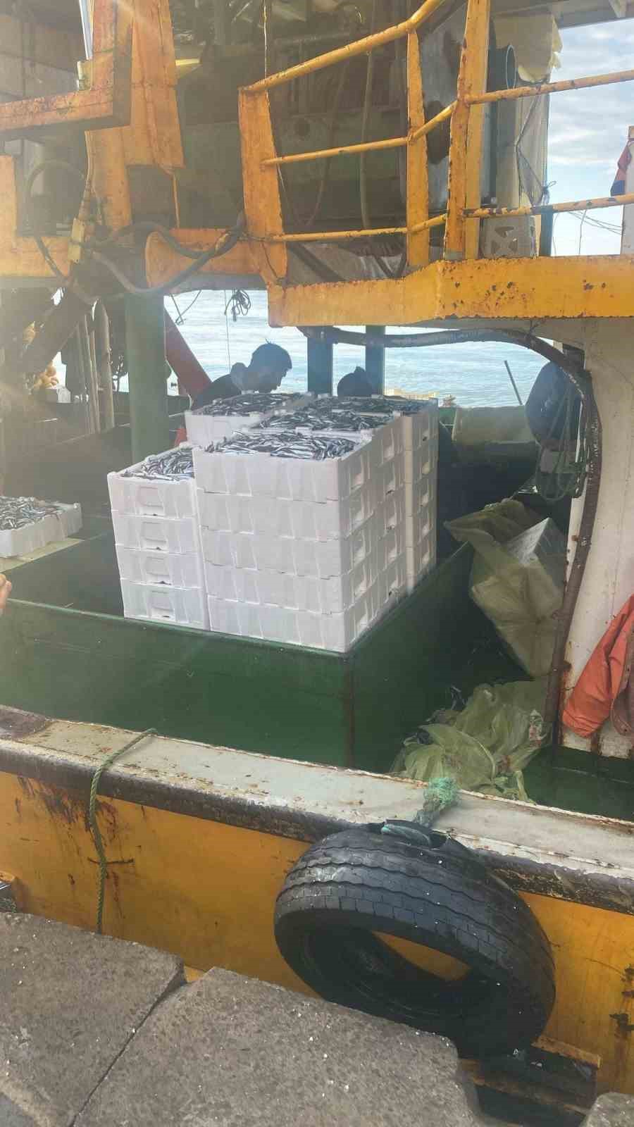 Hamsi kotası için Didim’de denetim yapıldı
