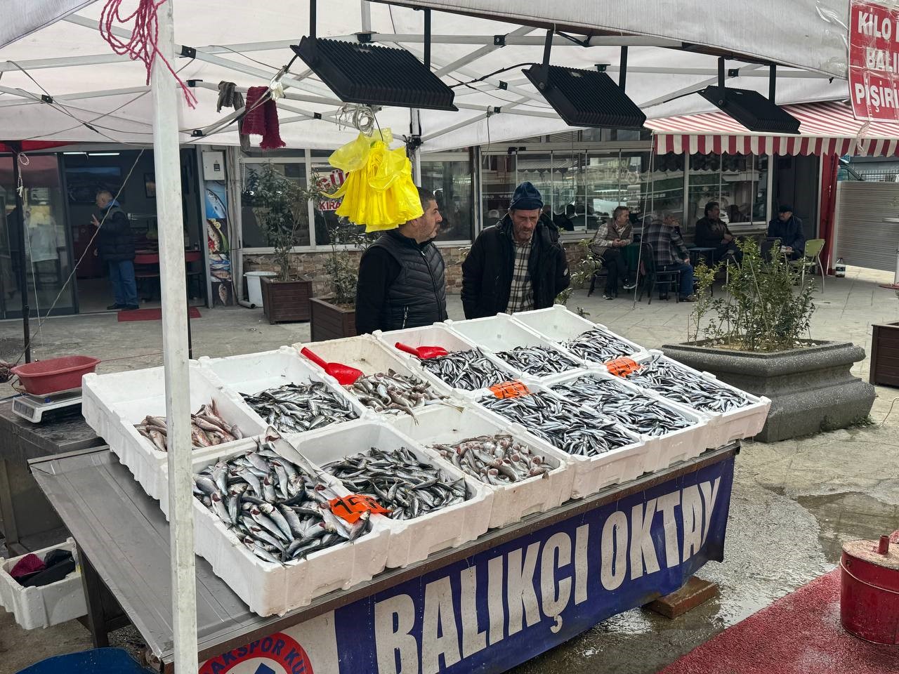 Hamsi yeniden tezgahlarda, 200 liradan alıcı buluyor
