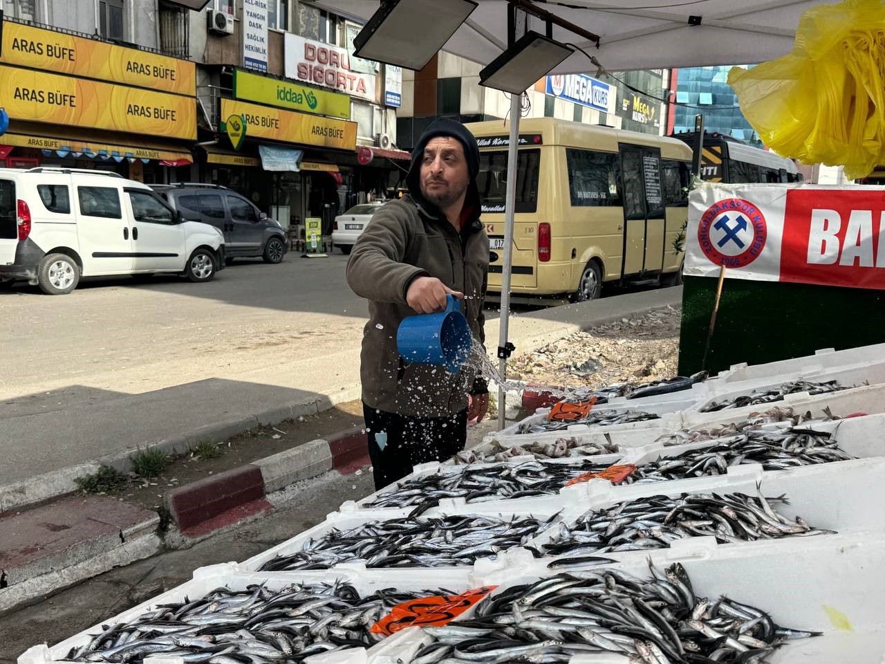 Hamsi yeniden tezgahlarda, 200 liradan alıcı buluyor

