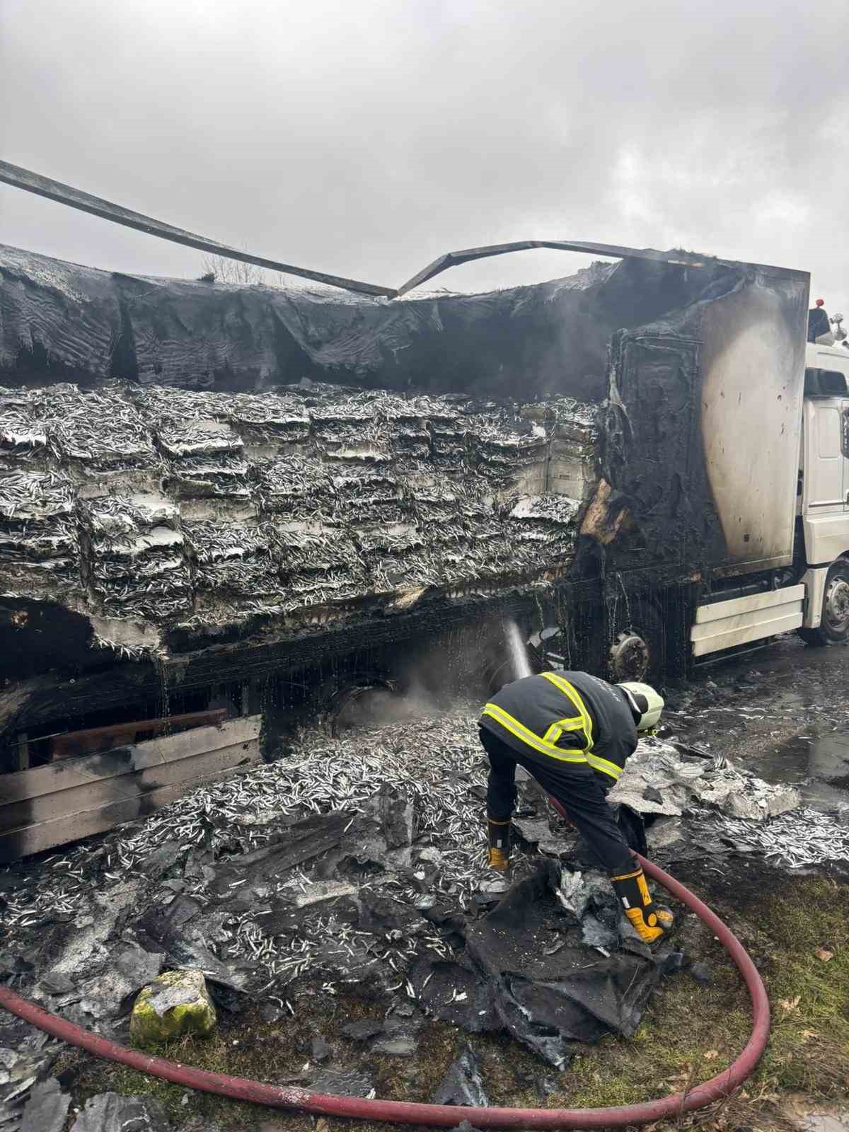 Hamsi yüklü tır alevlere teslim oldu: Dorse kullanılamaz hale geldi
