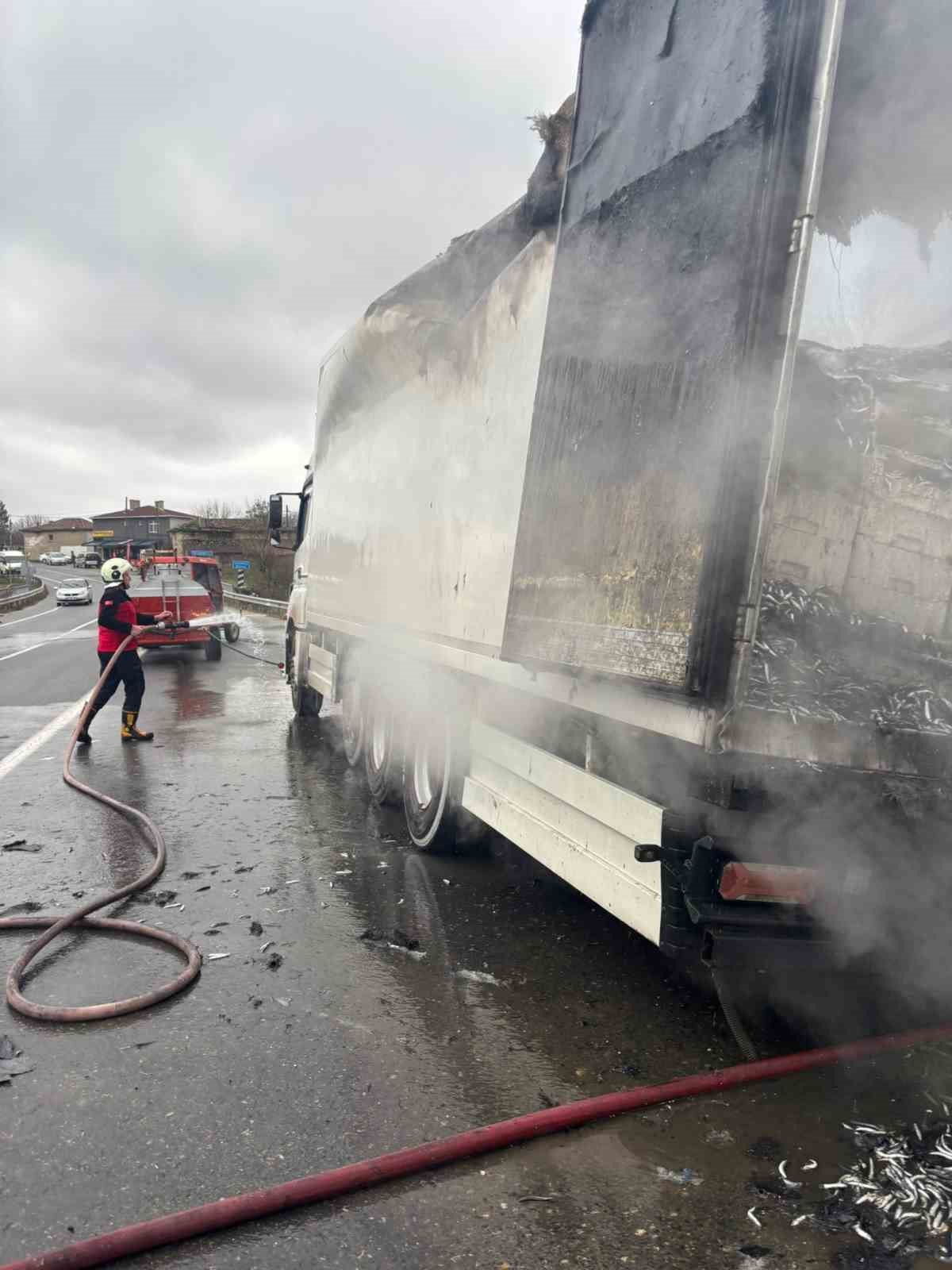 Hamsi yüklü tır alevlere teslim oldu: Dorse kullanılamaz hale geldi

