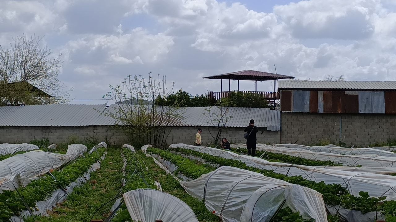 Hasadı çiftçi değil, vatandaş yaptı
