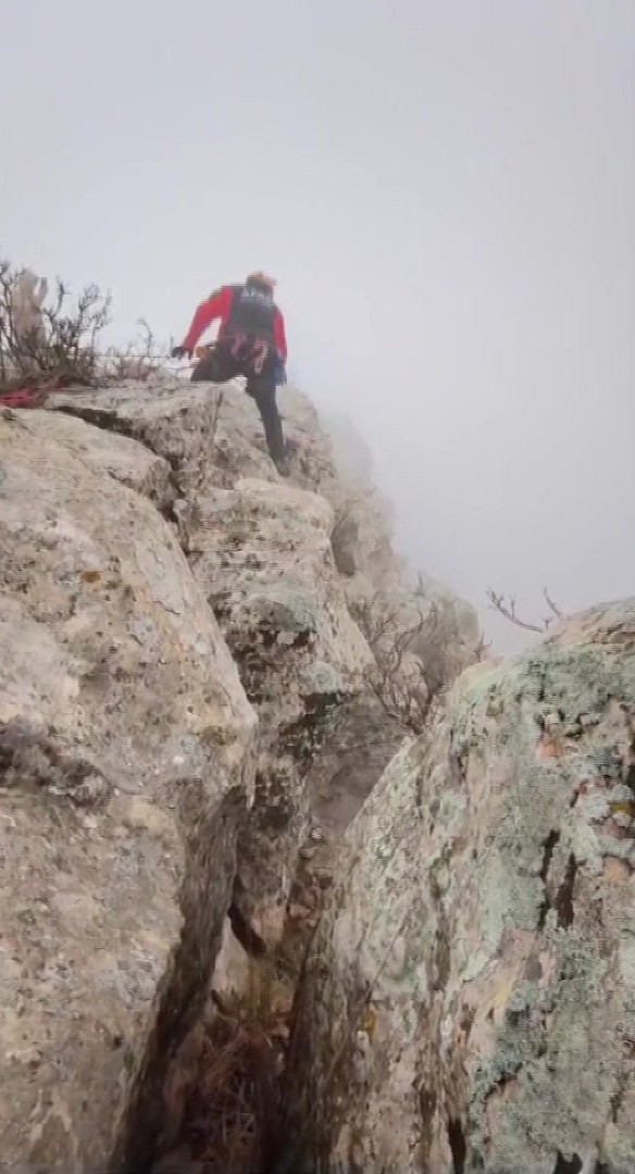 Hasankeyf’te 5 gündür mahsur kalan keçi kurtarıldı
