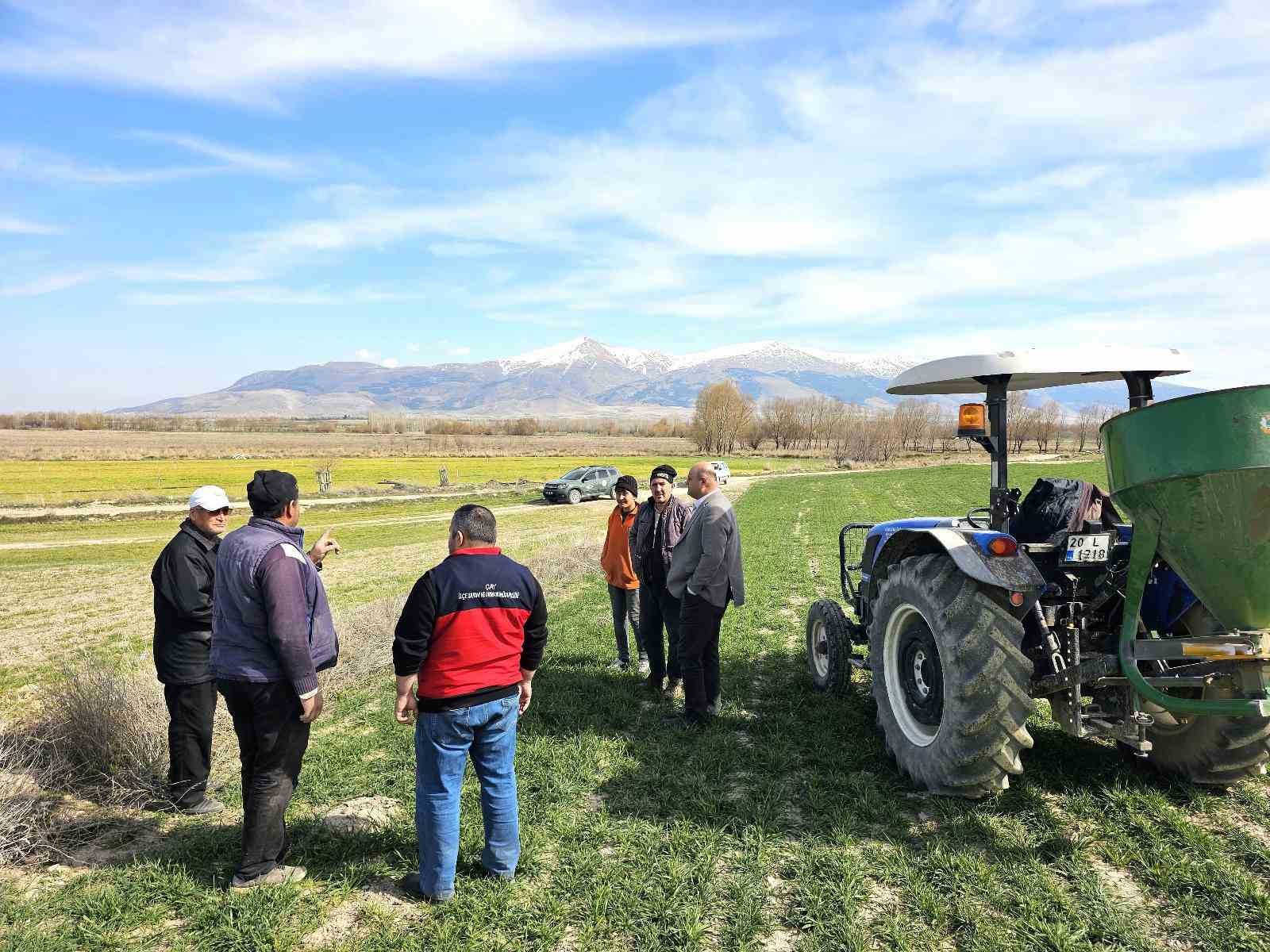 Haşhaş ve hububatta hastalık ve zararlı kontrolleri başladı
