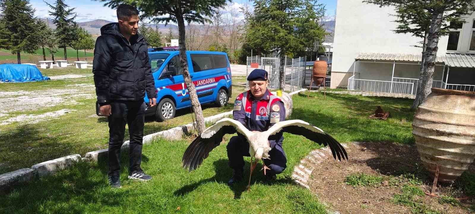 Hasta leylek koruma altına alındı
