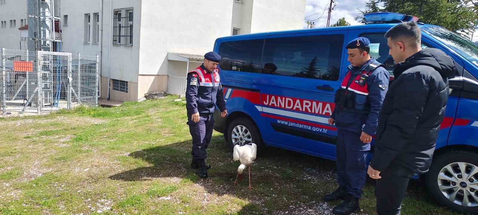 Hasta leylek koruma altına alındı
