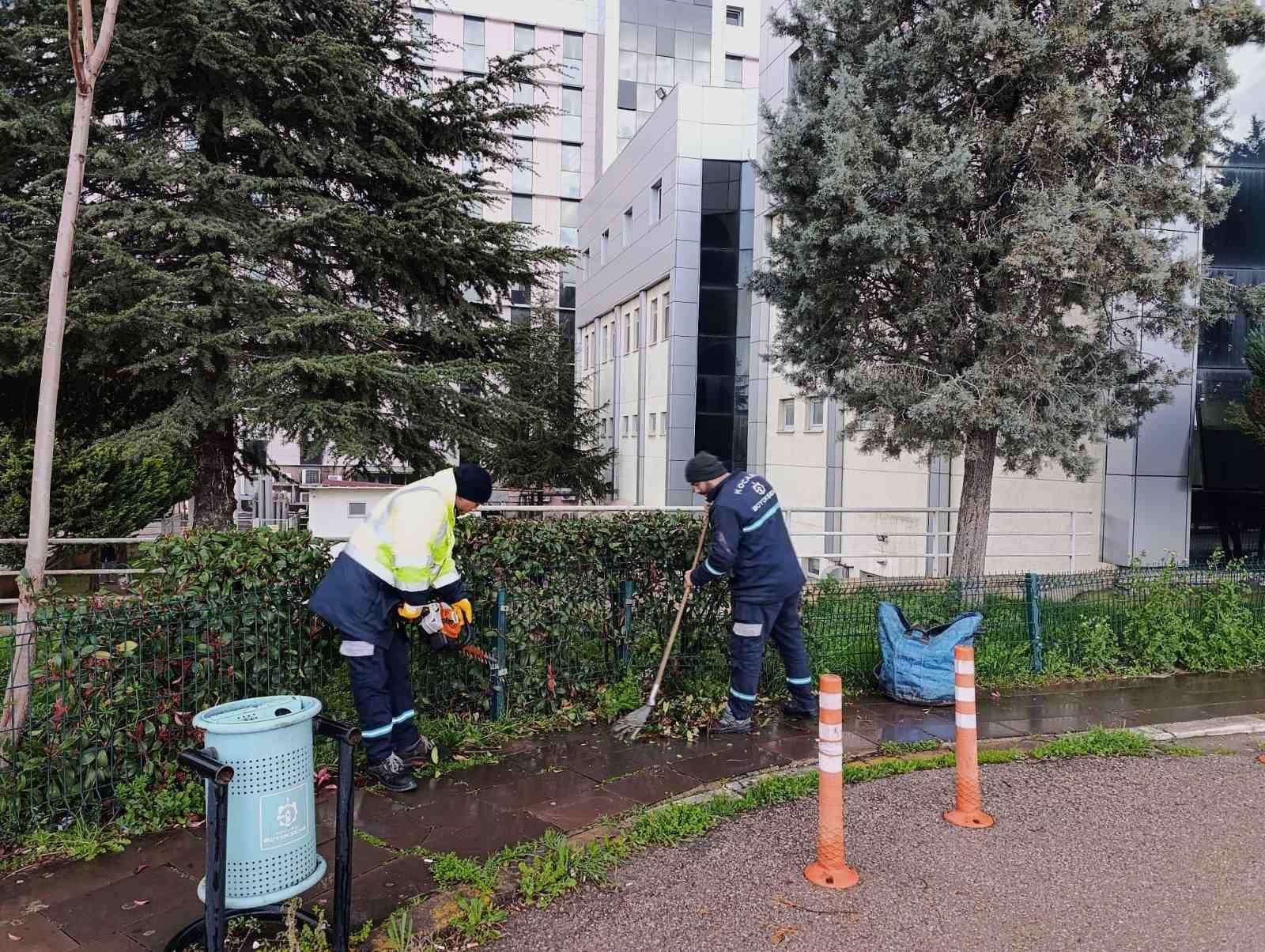 Hastane bahçelerinde budama ve bakım çalışması yapılıyor

