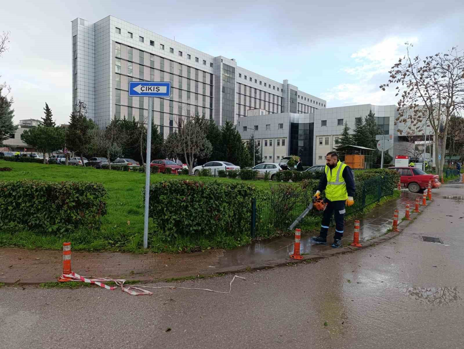Hastane bahçelerinde budama ve bakım çalışması yapılıyor
