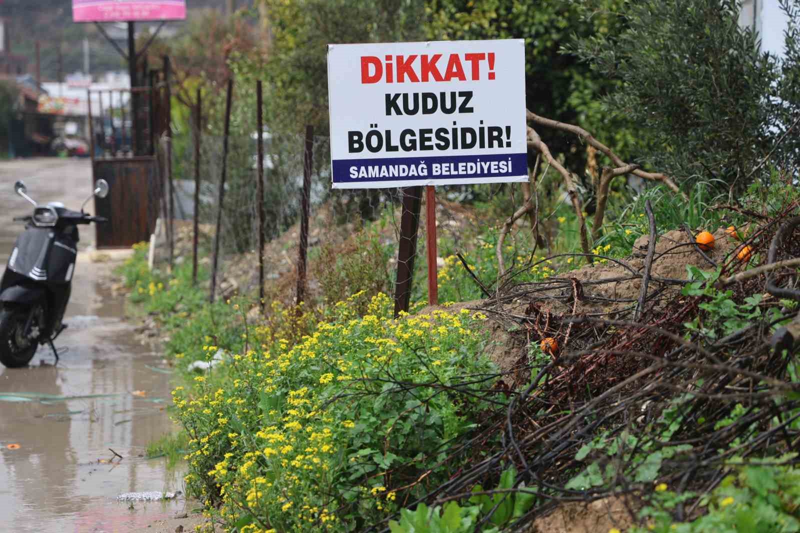 Hatay’da 4 mahalleye kuduz karantinası
