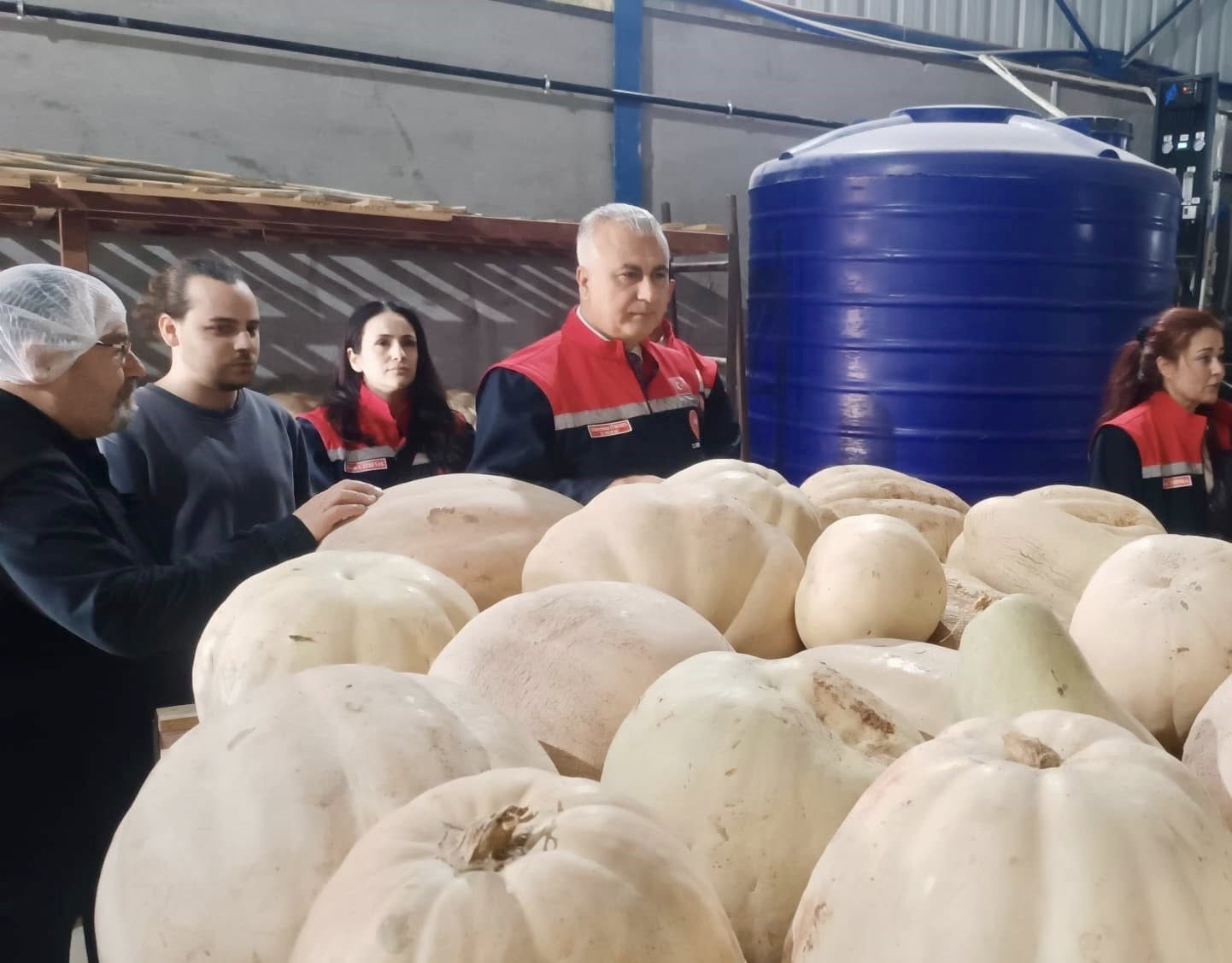 Hatay’da coğrafi işaretli kabak tatlısı üretimi yapan işetme denetlendi
Hatay’da coğrafi işaretli kabak tatlısı üretimi yapan işetme denetlendi
