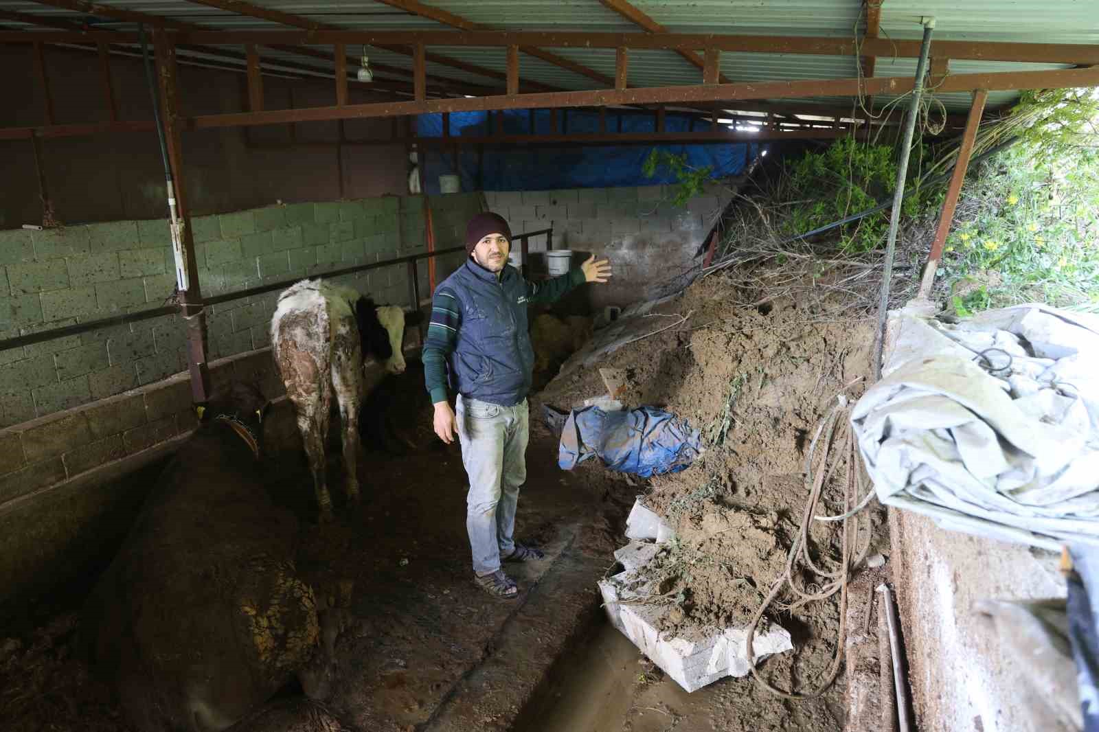 Hatay’da heyelanda önü toprakla dolan ahırda hayvanlar mahsur kaldı
