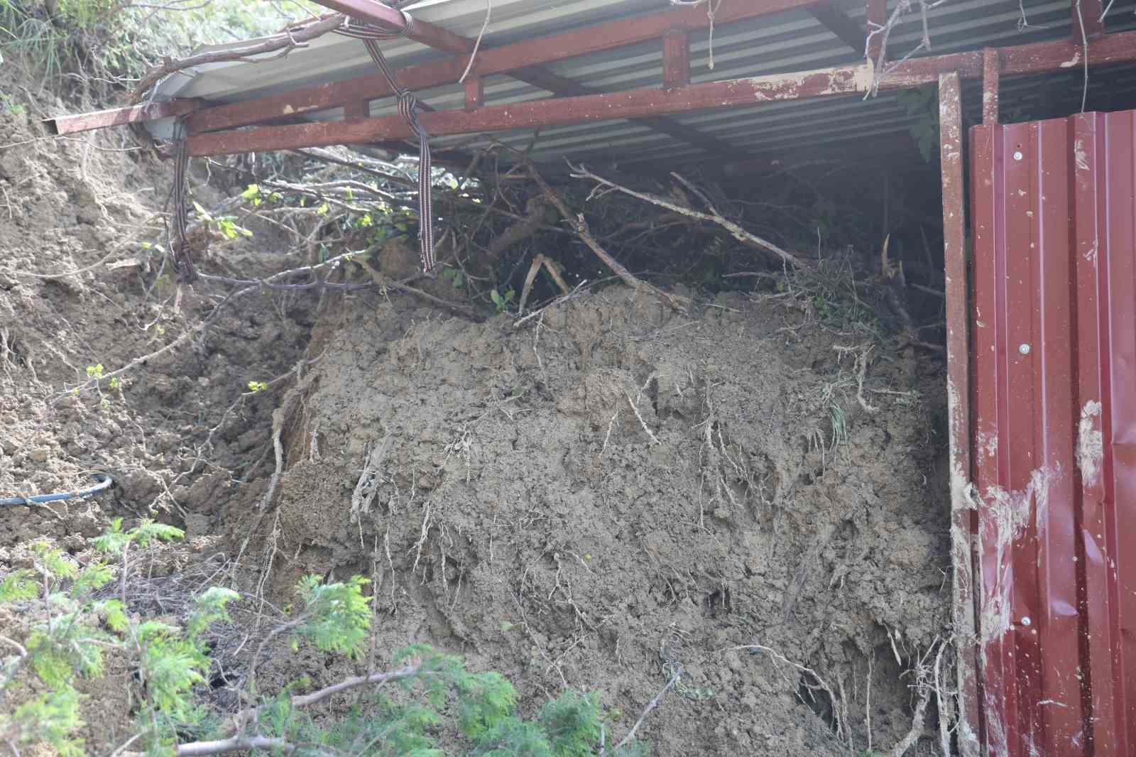 Hatay’da heyelanda önü toprakla dolan ahırda hayvanlar mahsur kaldı
