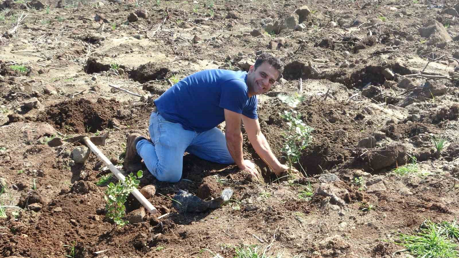 Hatay’da orman yangınından zarar gören alanlarda 5 bin fidan toprakla buluşturuldu
