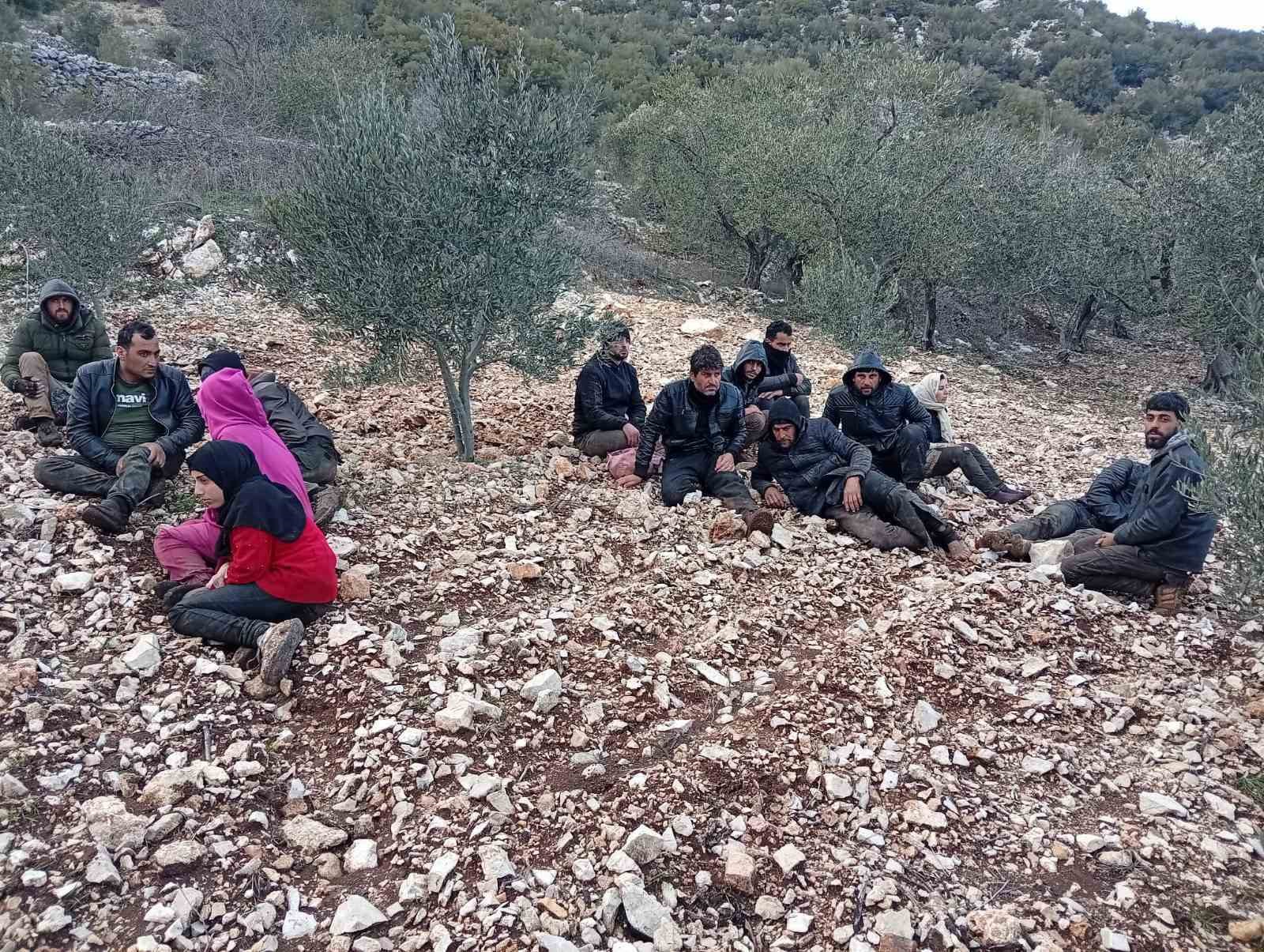 Hatay’da zeytinlik alanda 30 düzensiz göçmen yakalandı
