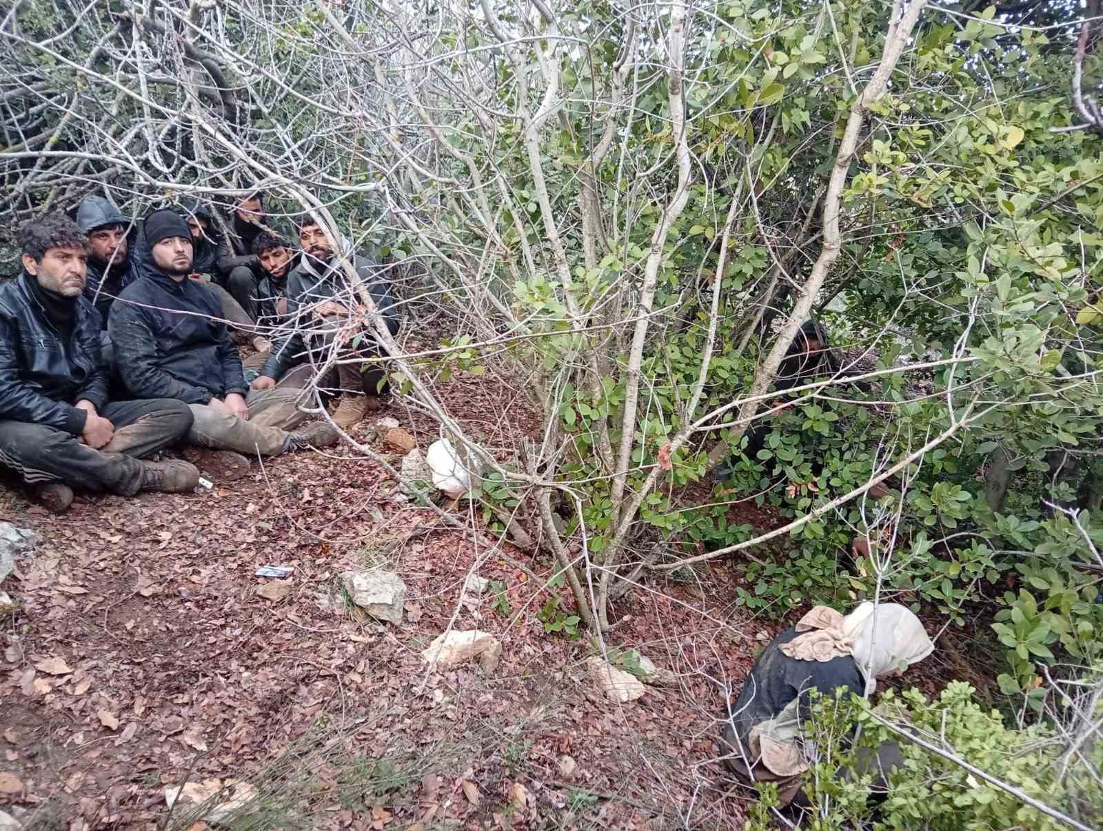 Hatay’da zeytinlik alanda 30 düzensiz göçmen yakalandı

